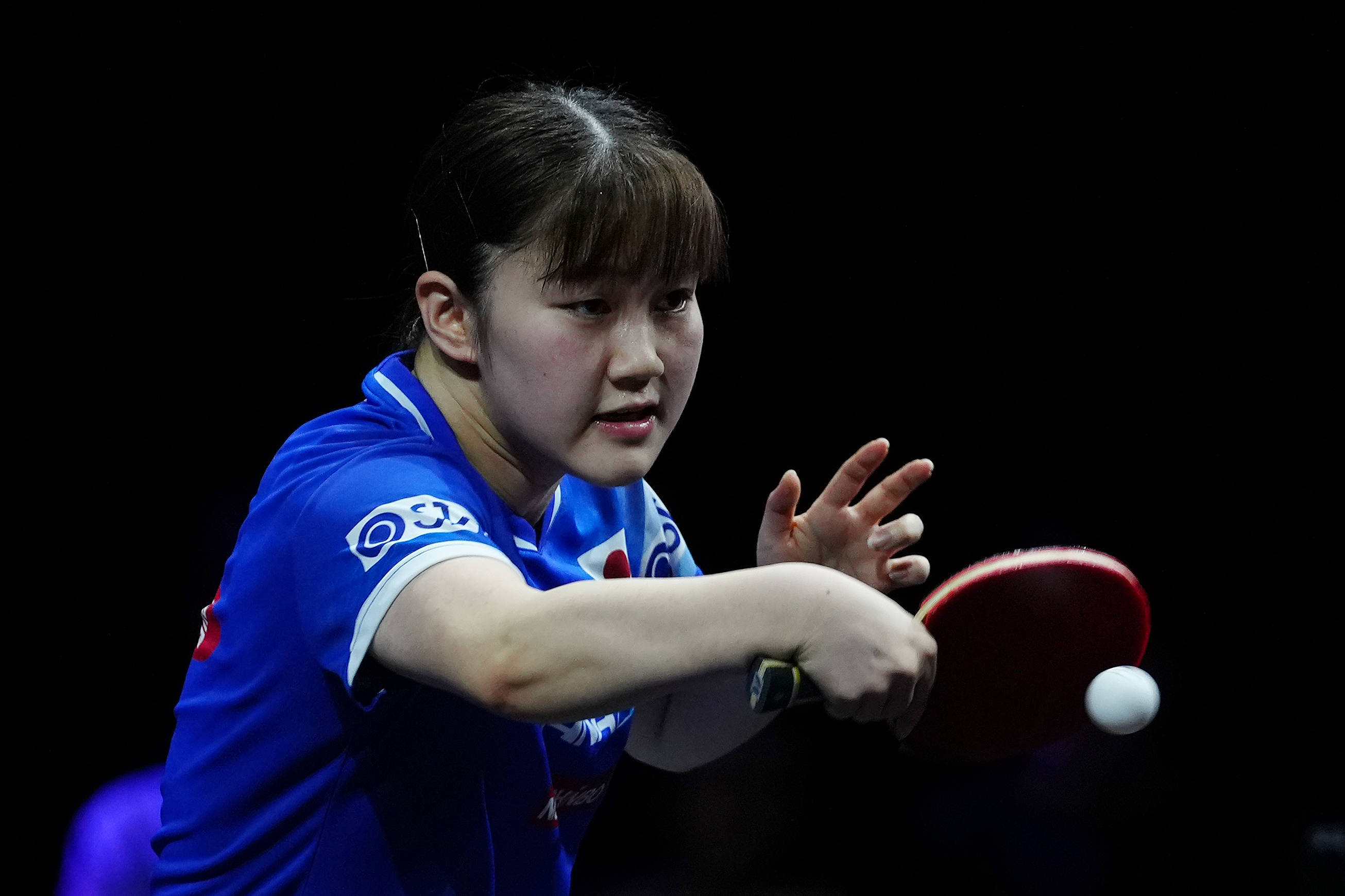 滑翔伞执照 滑翔伞执照