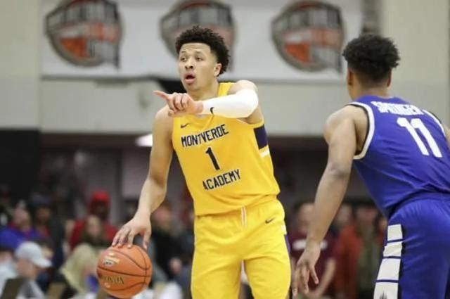 许多类似舒 许多类似舒