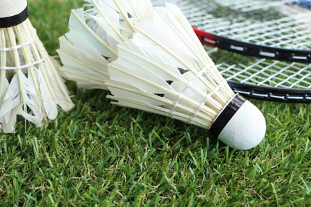 二节中后段 二节中后段