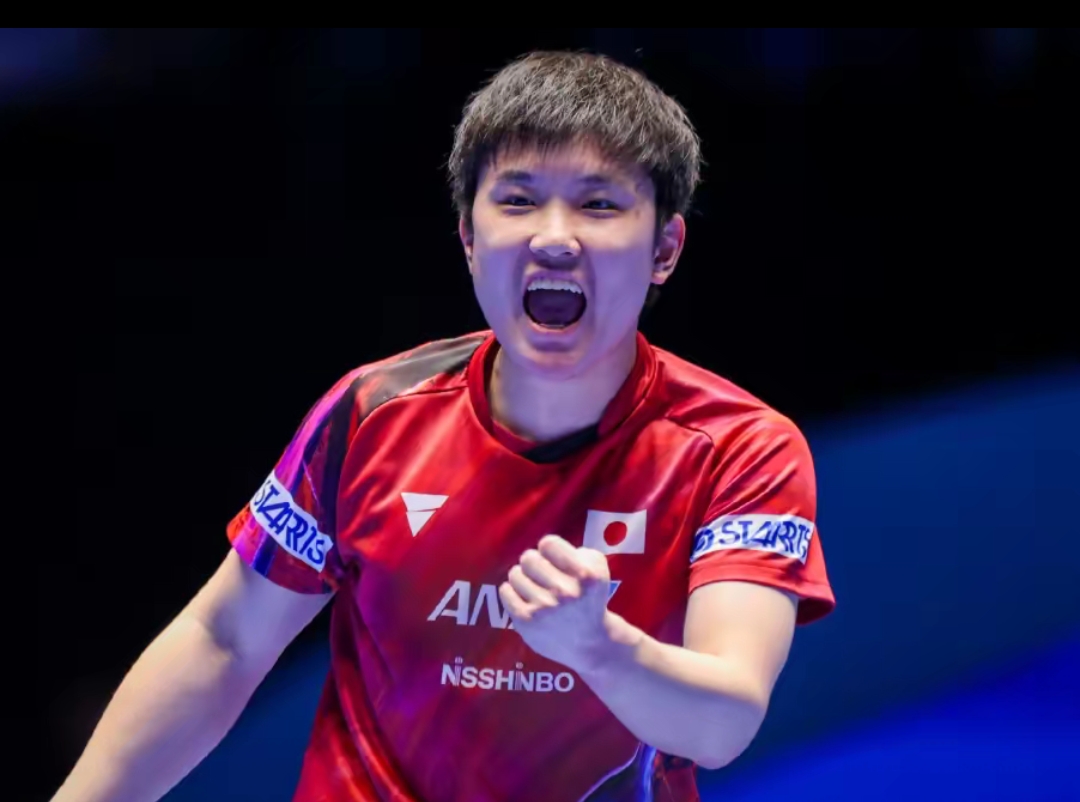 稳定性对抗 稳定性对抗